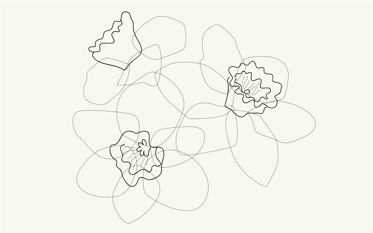 CWILP__daffodils-01.jpeg