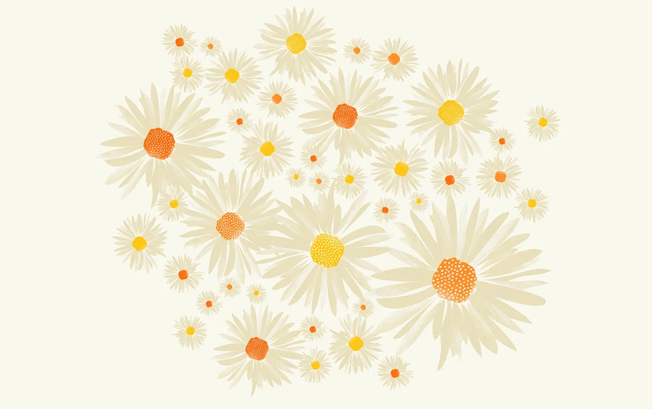 CWILP__daisies-02.jpeg