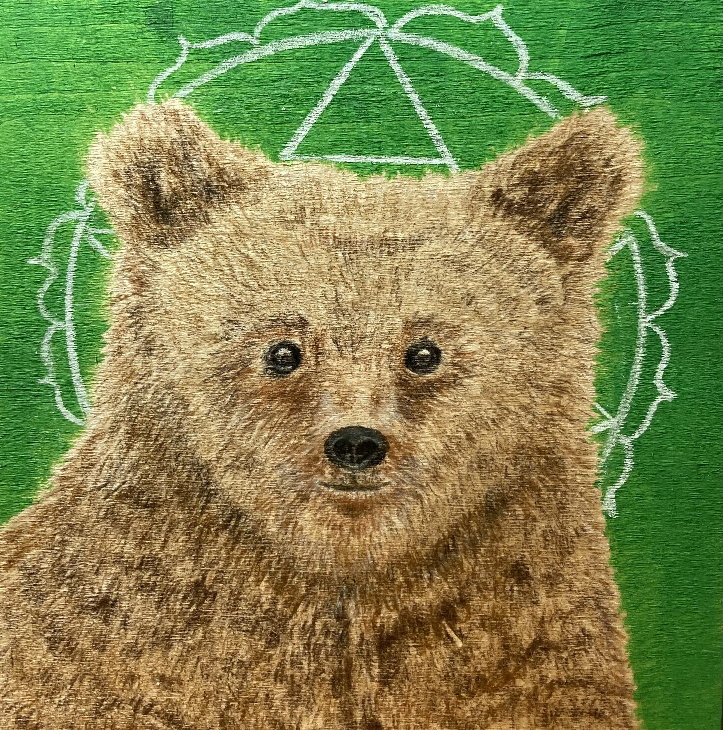 bear.jpg
