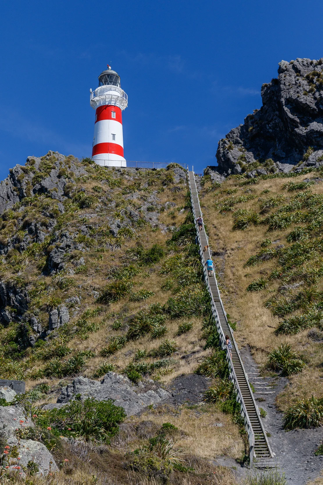 Cape Palliser