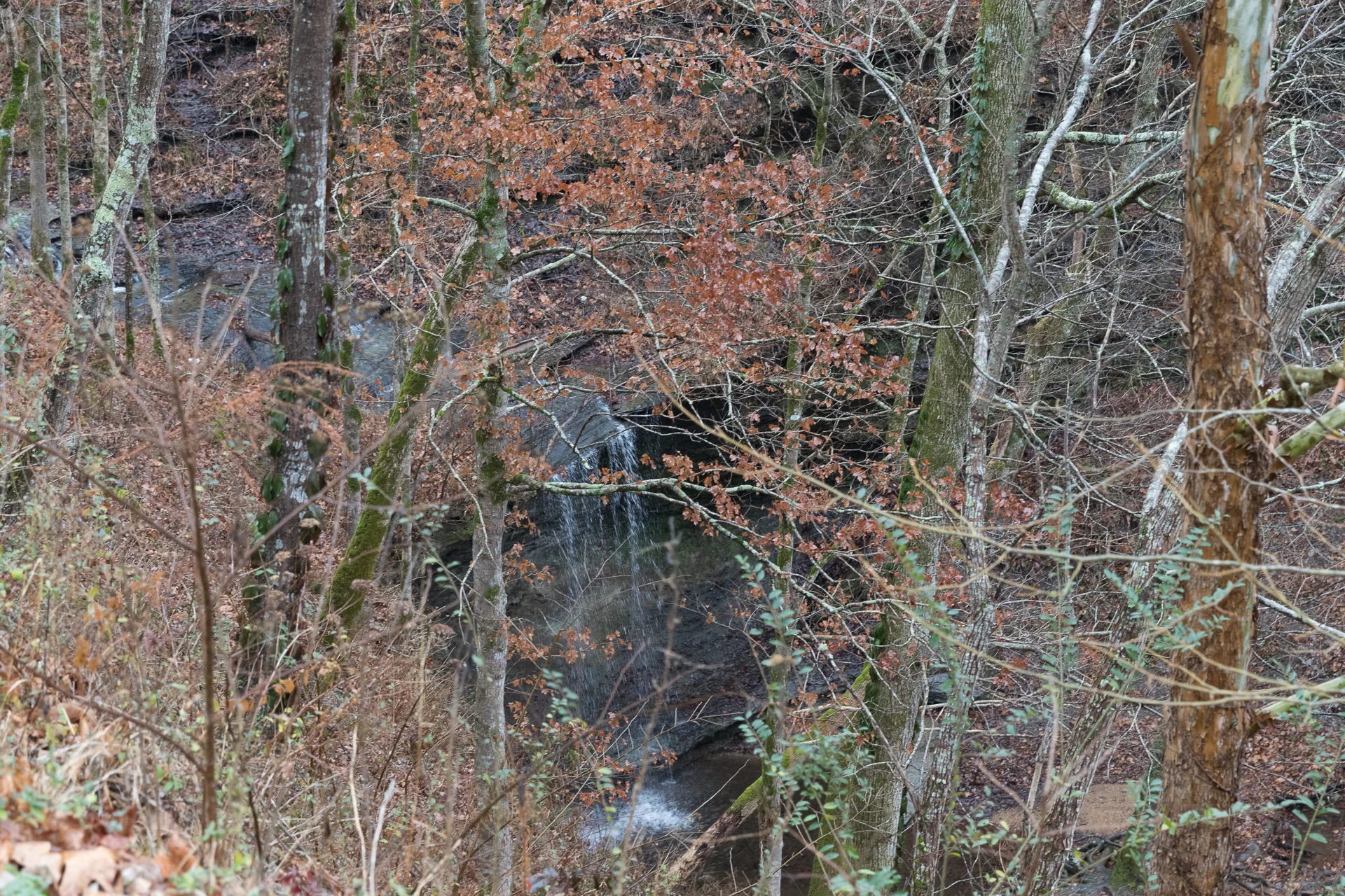 _MG_9372.jpg