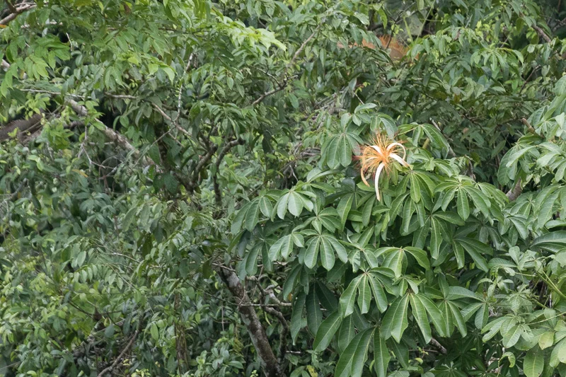 _MG_9524.jpg
