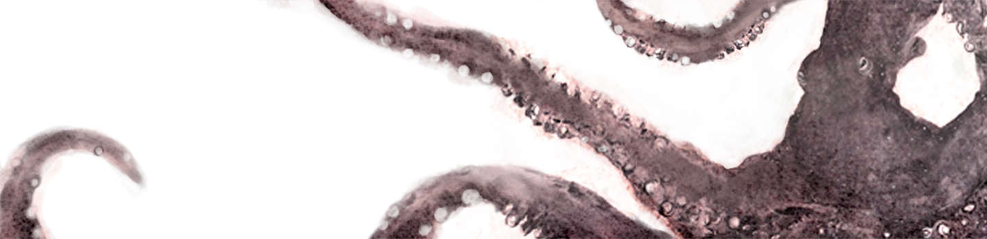 slice2.jpg