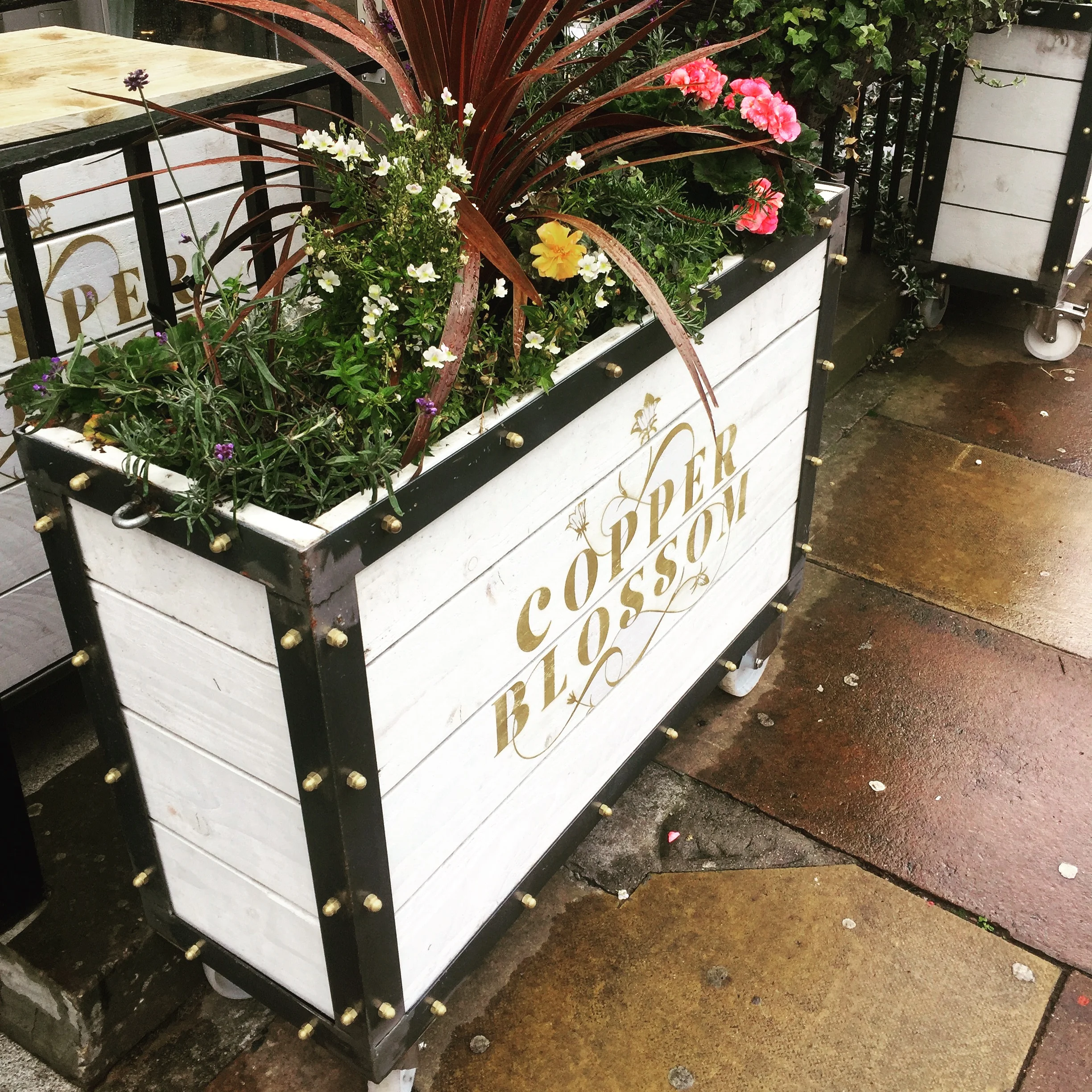 Copper Blossom Edinburgh