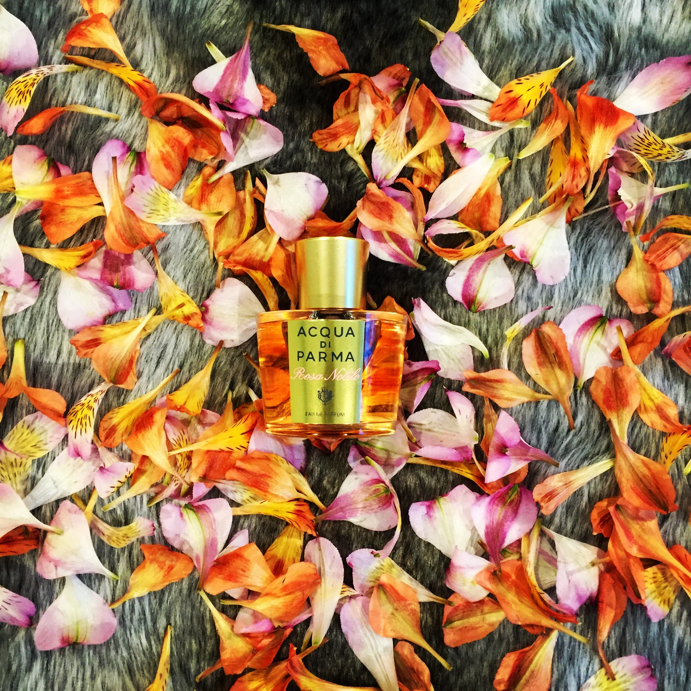 Acqua Di Parma Rosa Nobile