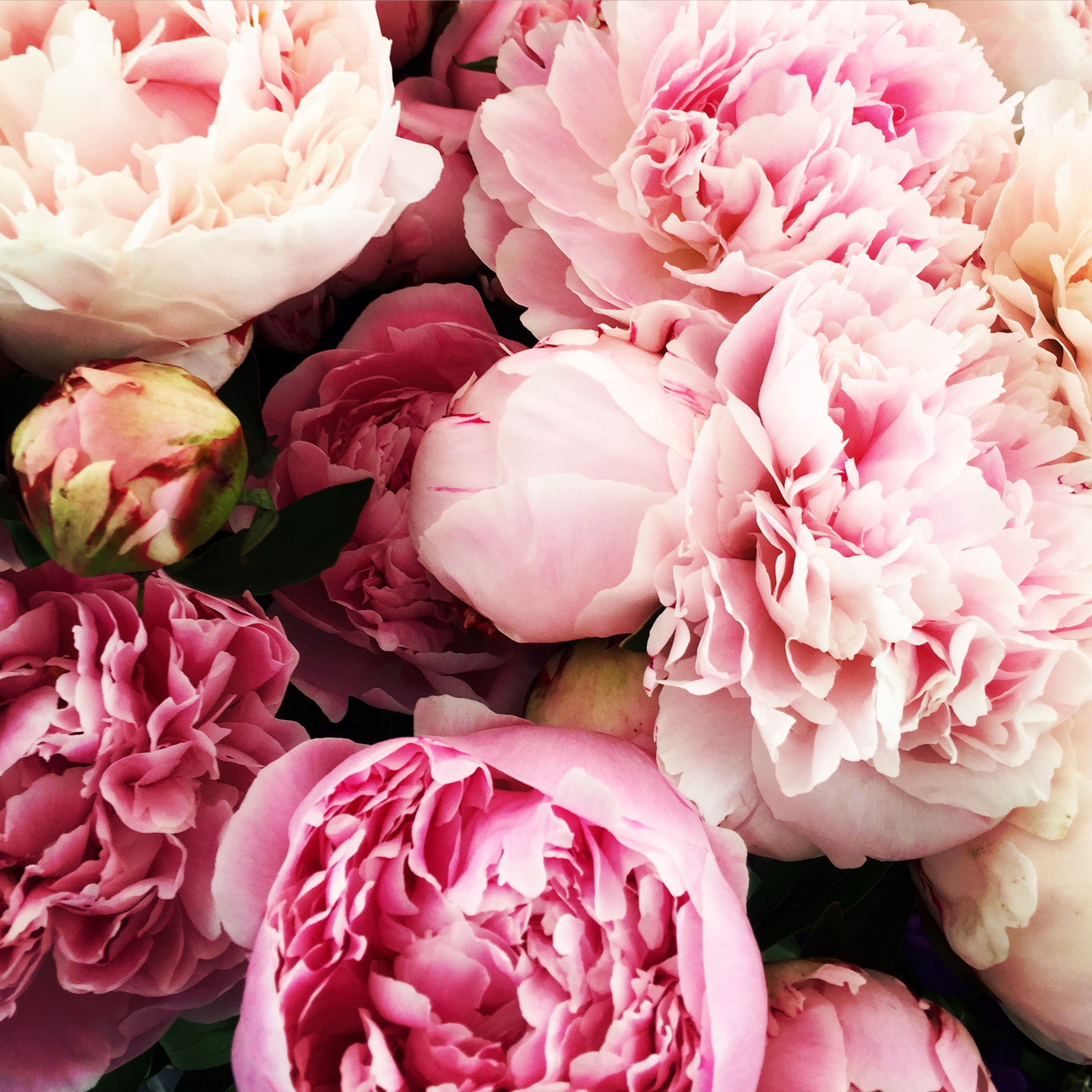 Where To Go For Food, Drinks and Good Times in Nice