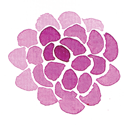 WatercolorFlower.png