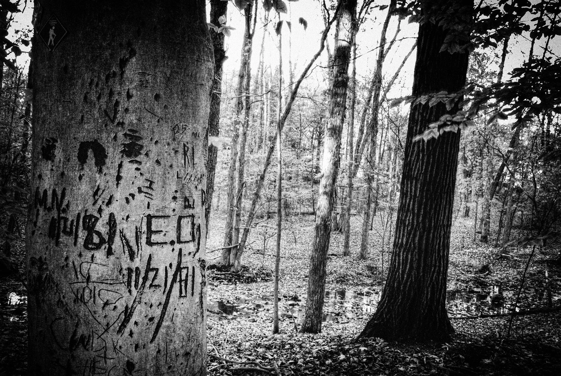 EO 11/21/81 (Open Space, Central New Jersey)