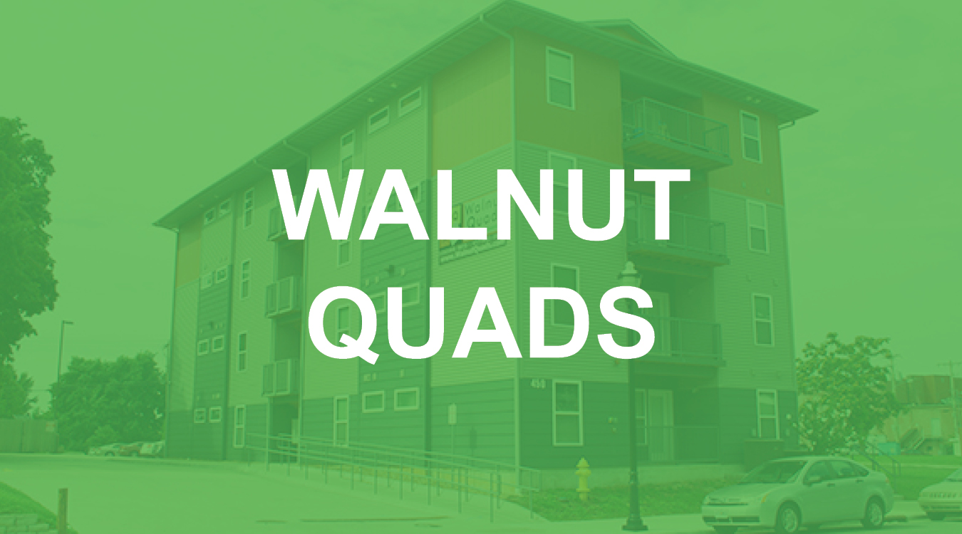 WALNUT QUADS.jpg