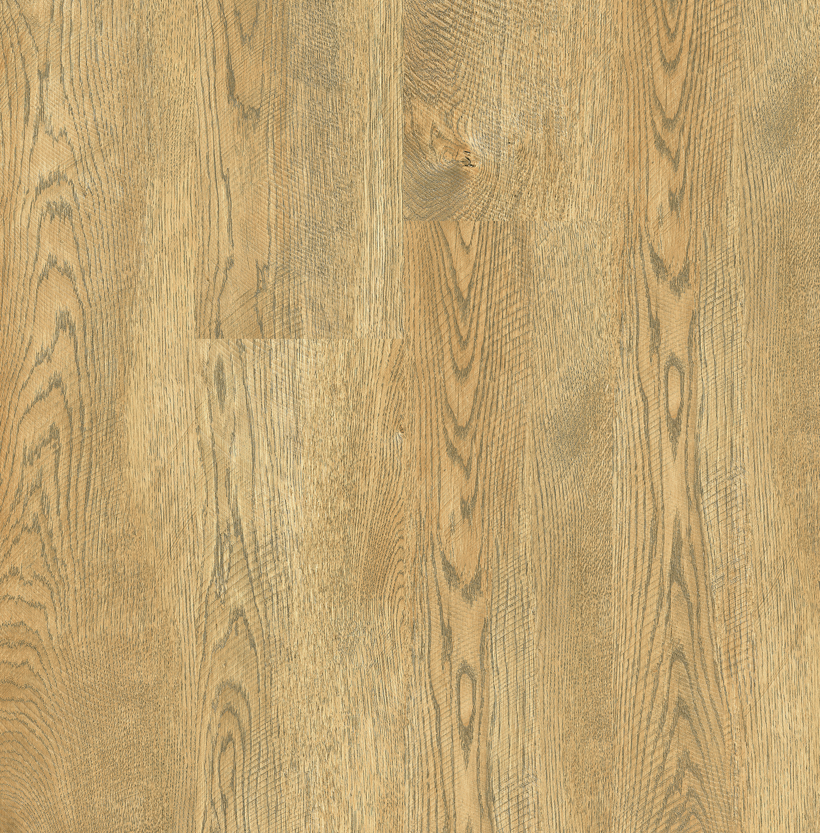 FN-02. ASHWOOD –