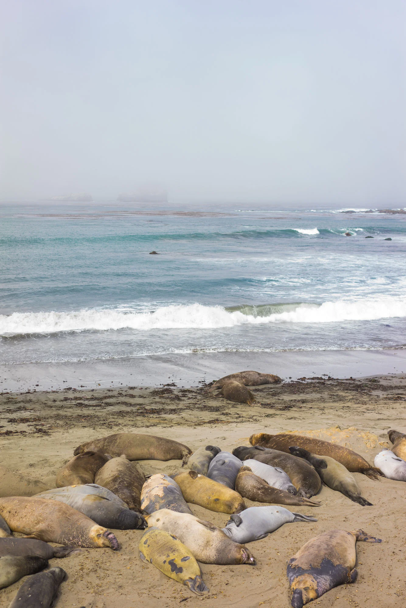 Highway 1, CA