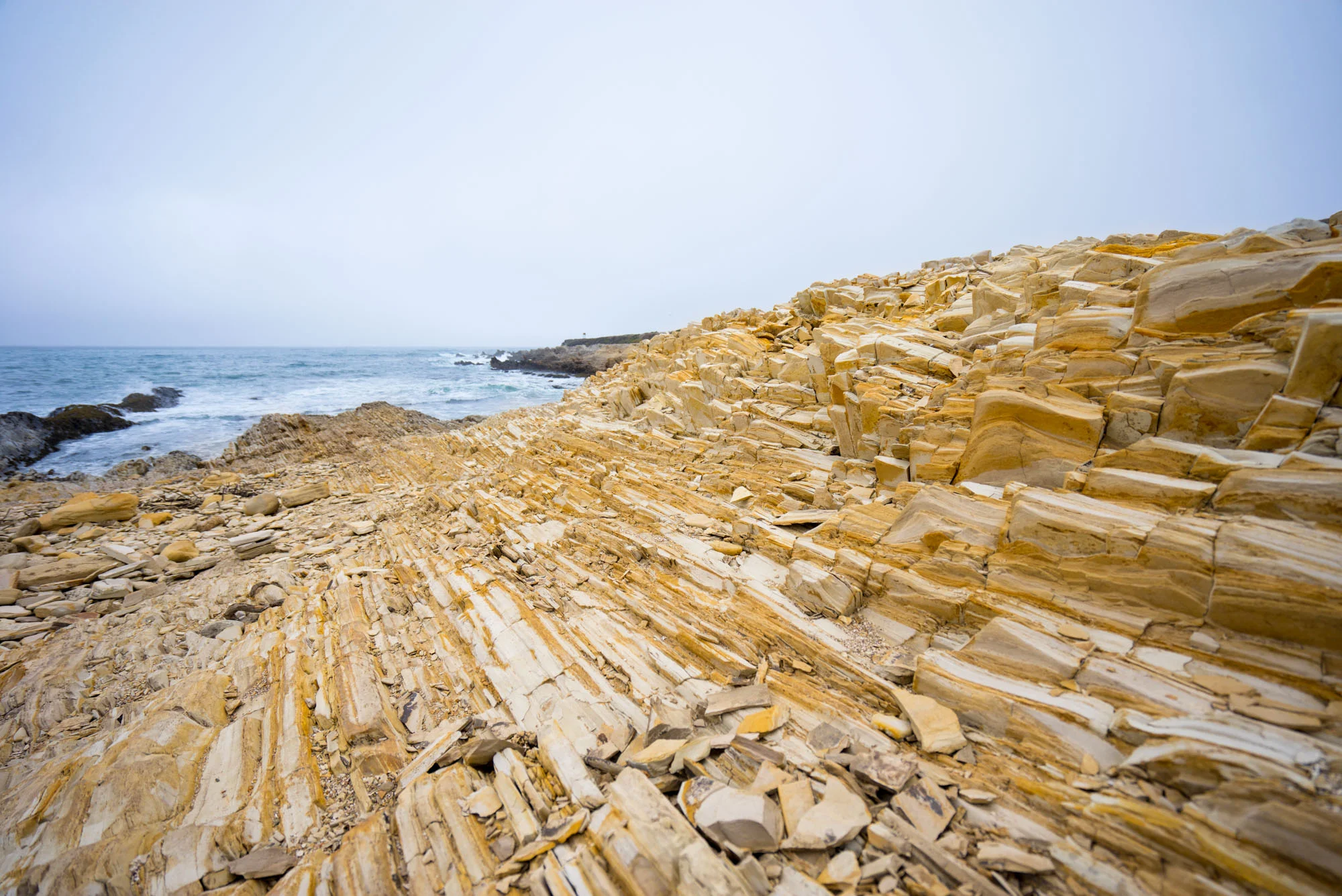 Montaña de Oro State Park, CA