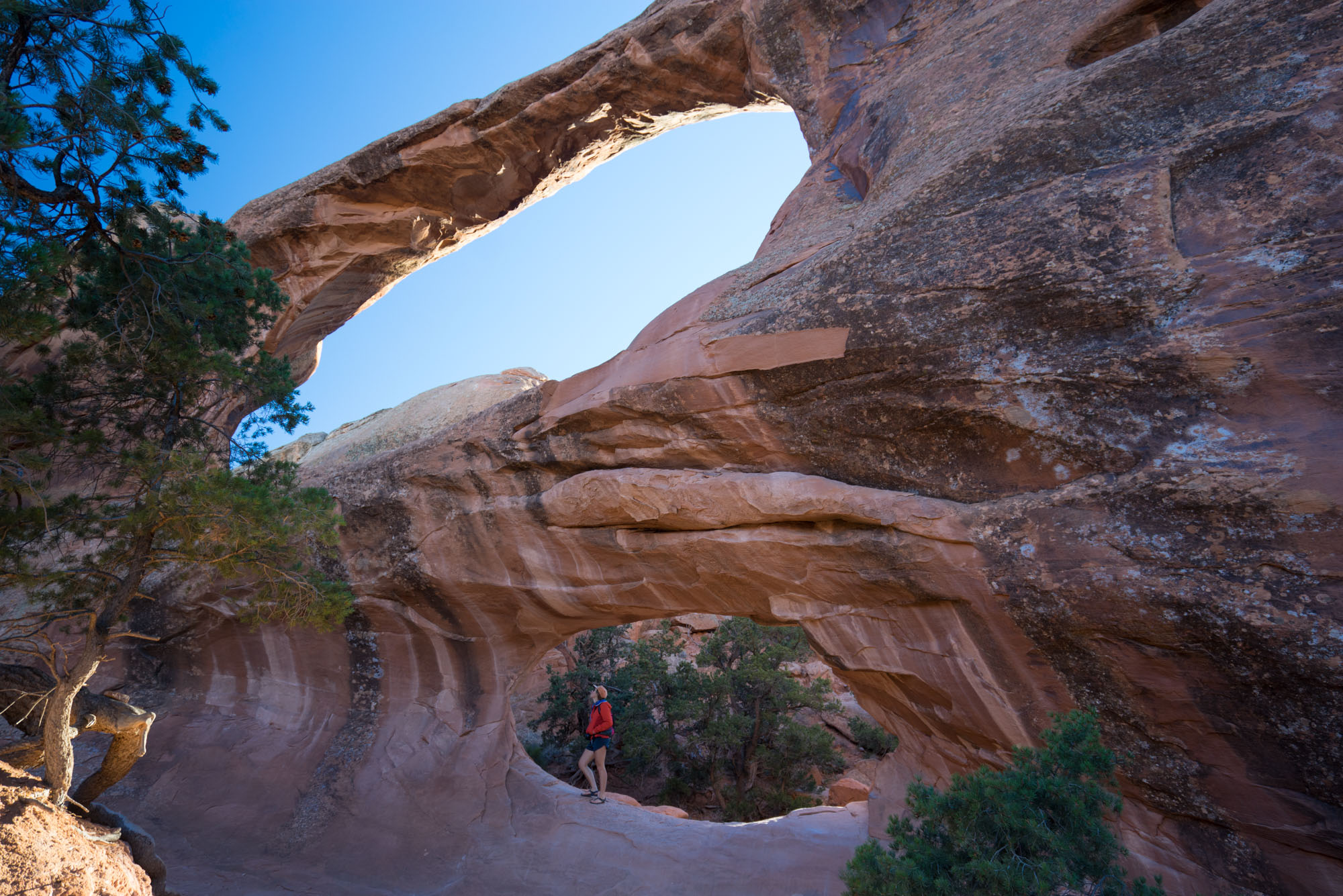 Double O arch