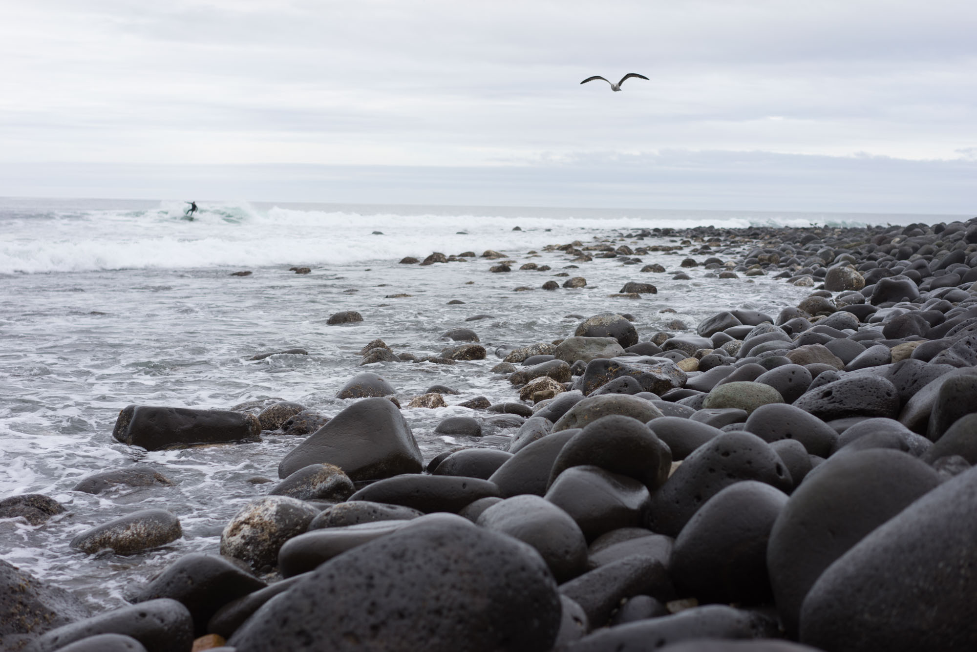 Surf in San Miguel, Baja California