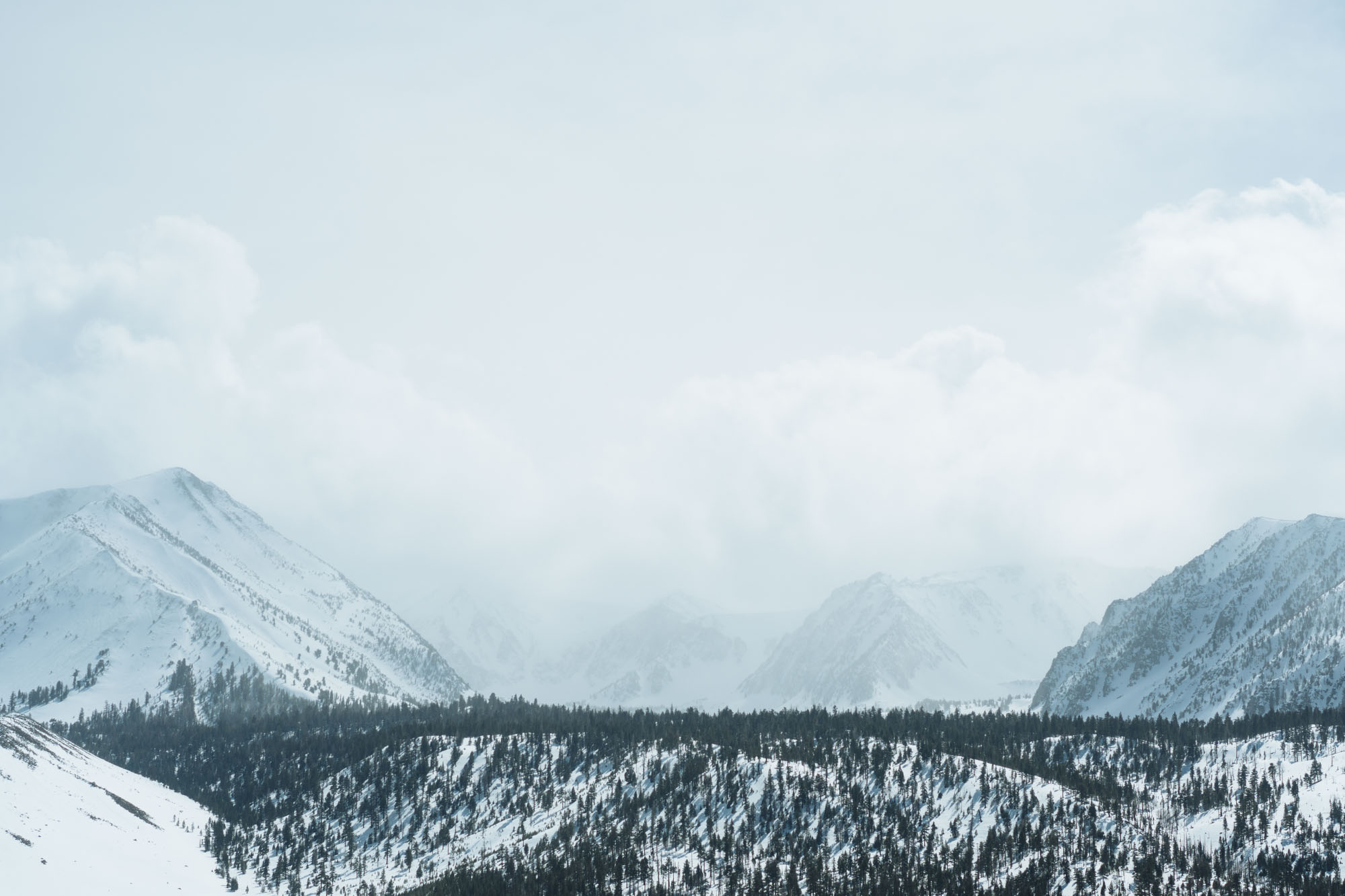 Somewhere north of Bishop, CA
