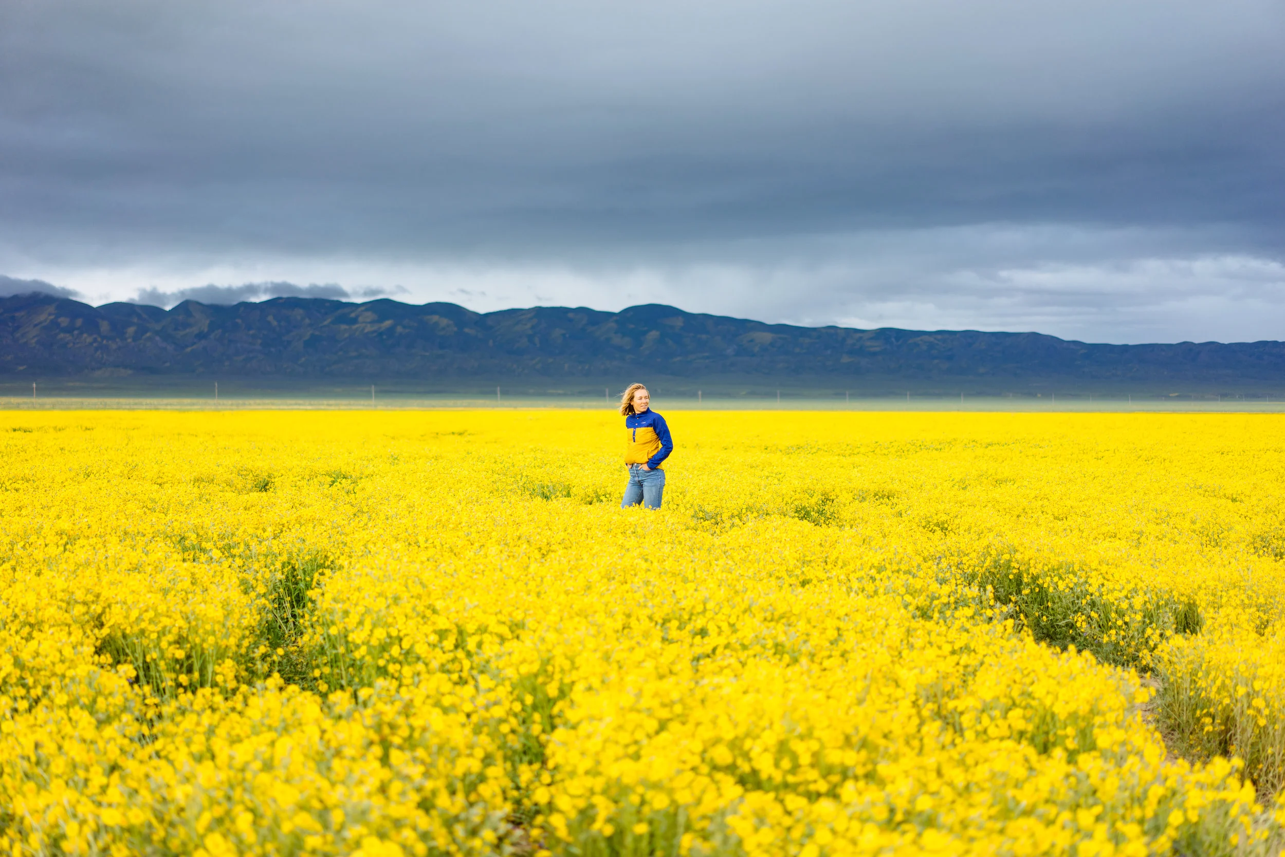 MAK among the flowers in Carizzo Plains.