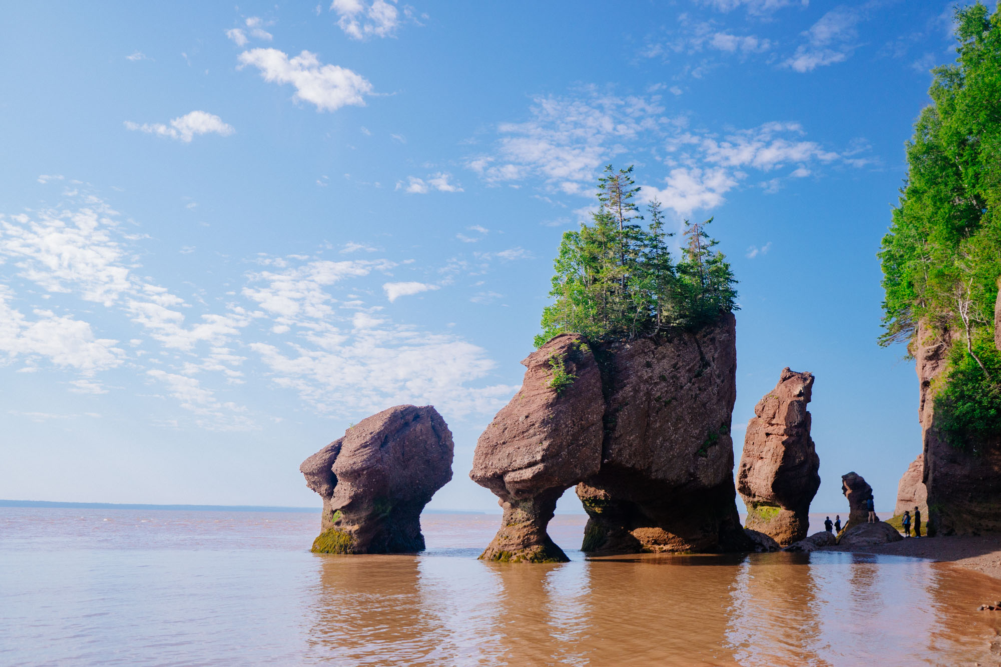 Hopewell Rocks