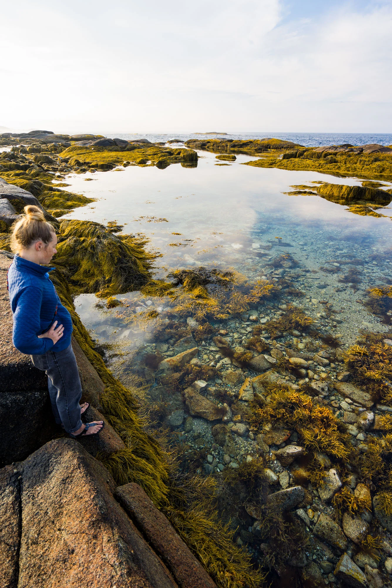 The amazingly clear tide pools of NS’s Atlantic coast