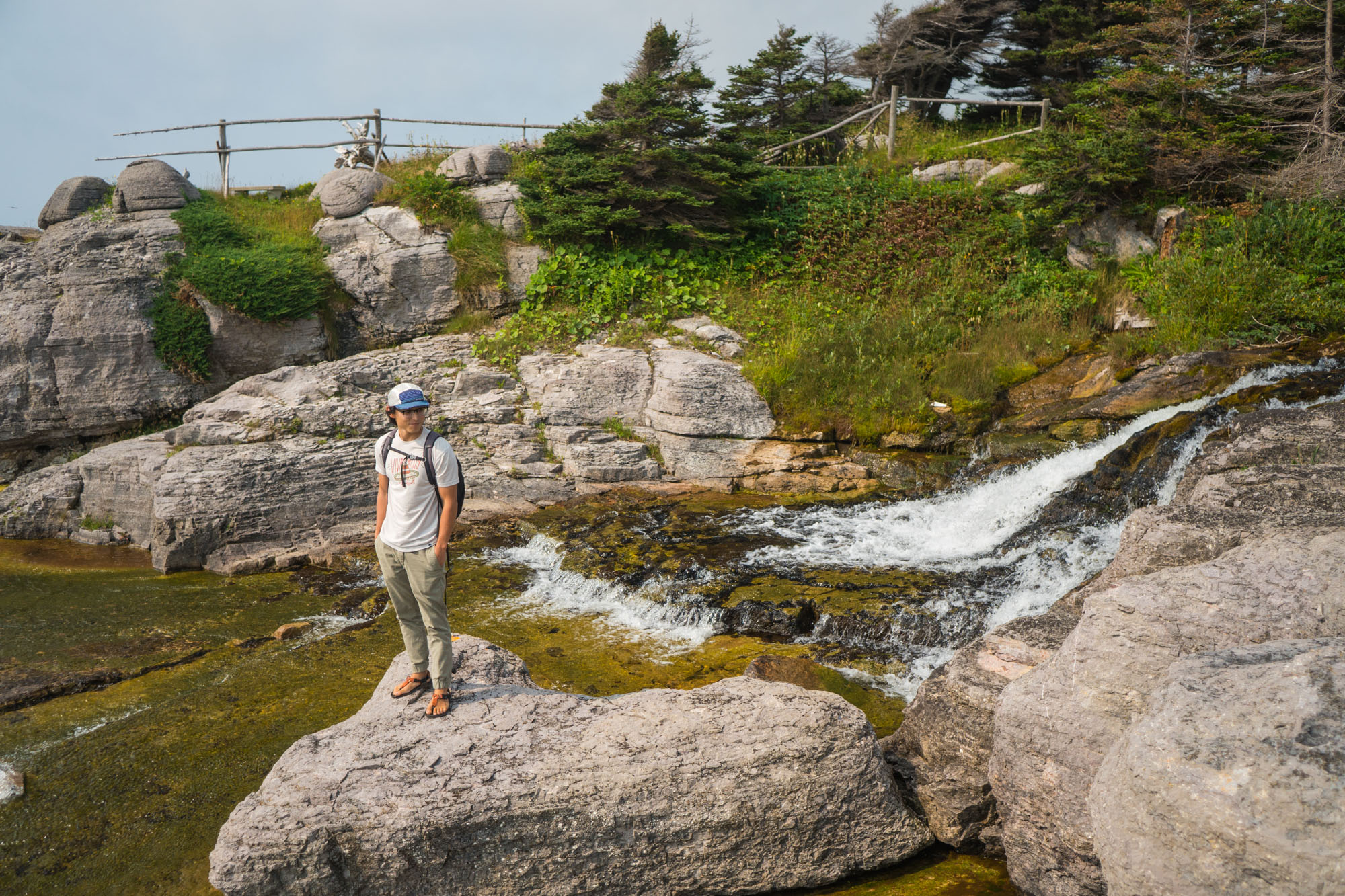 Sheaves Cove, Newfoundland