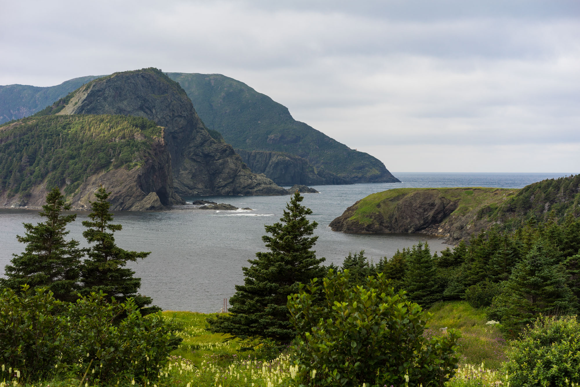 View of Bottle Cove