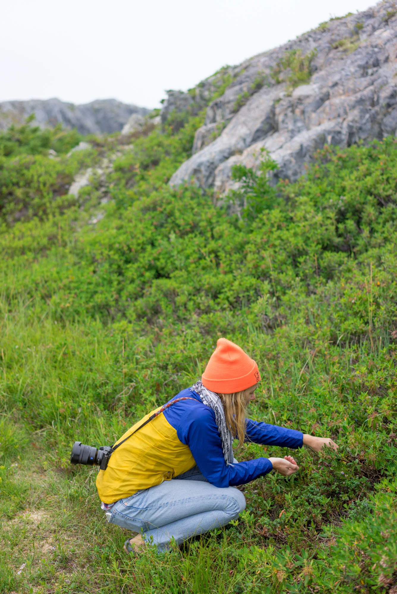 MAK picking blueberries on the hike up to Brimstone Head