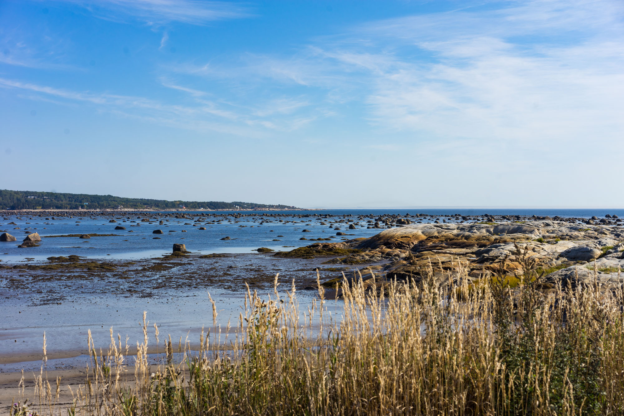 The view from camp at low tide