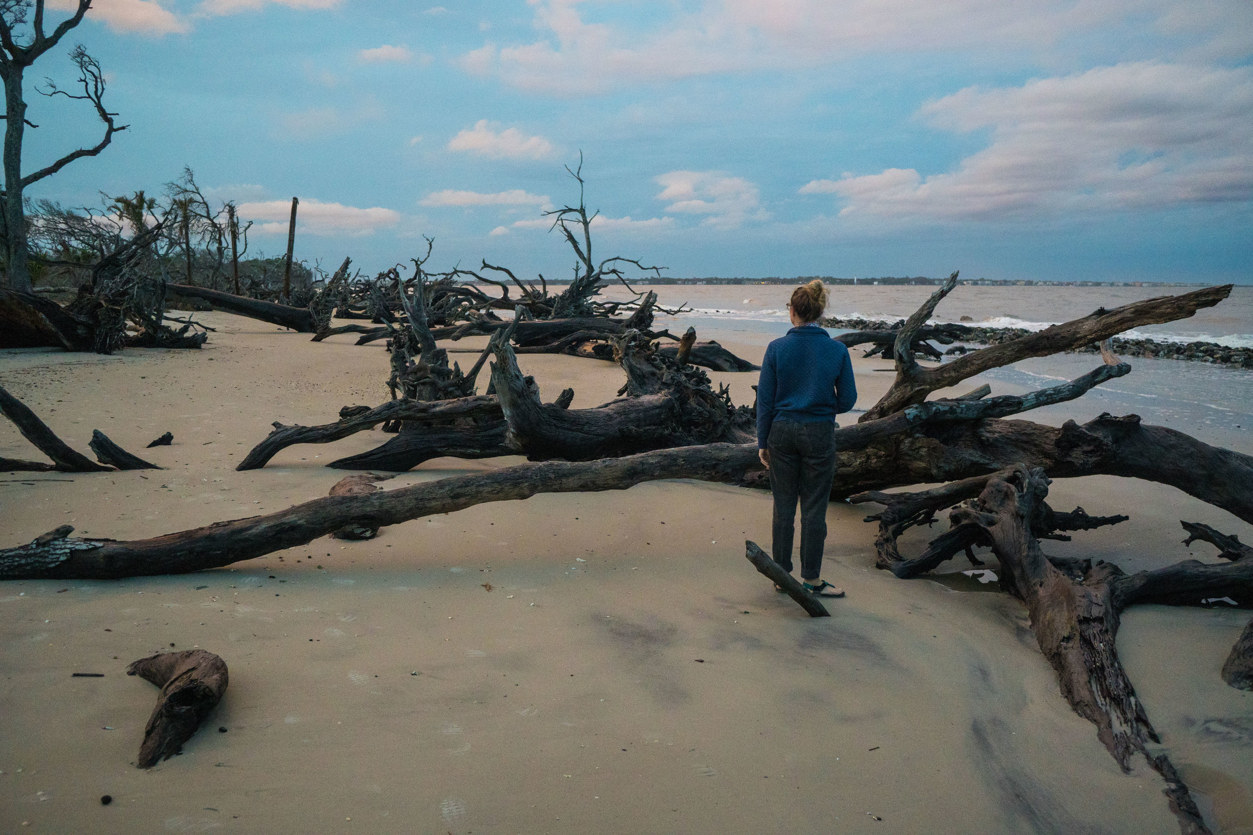 MAK on Driftwood Beach
