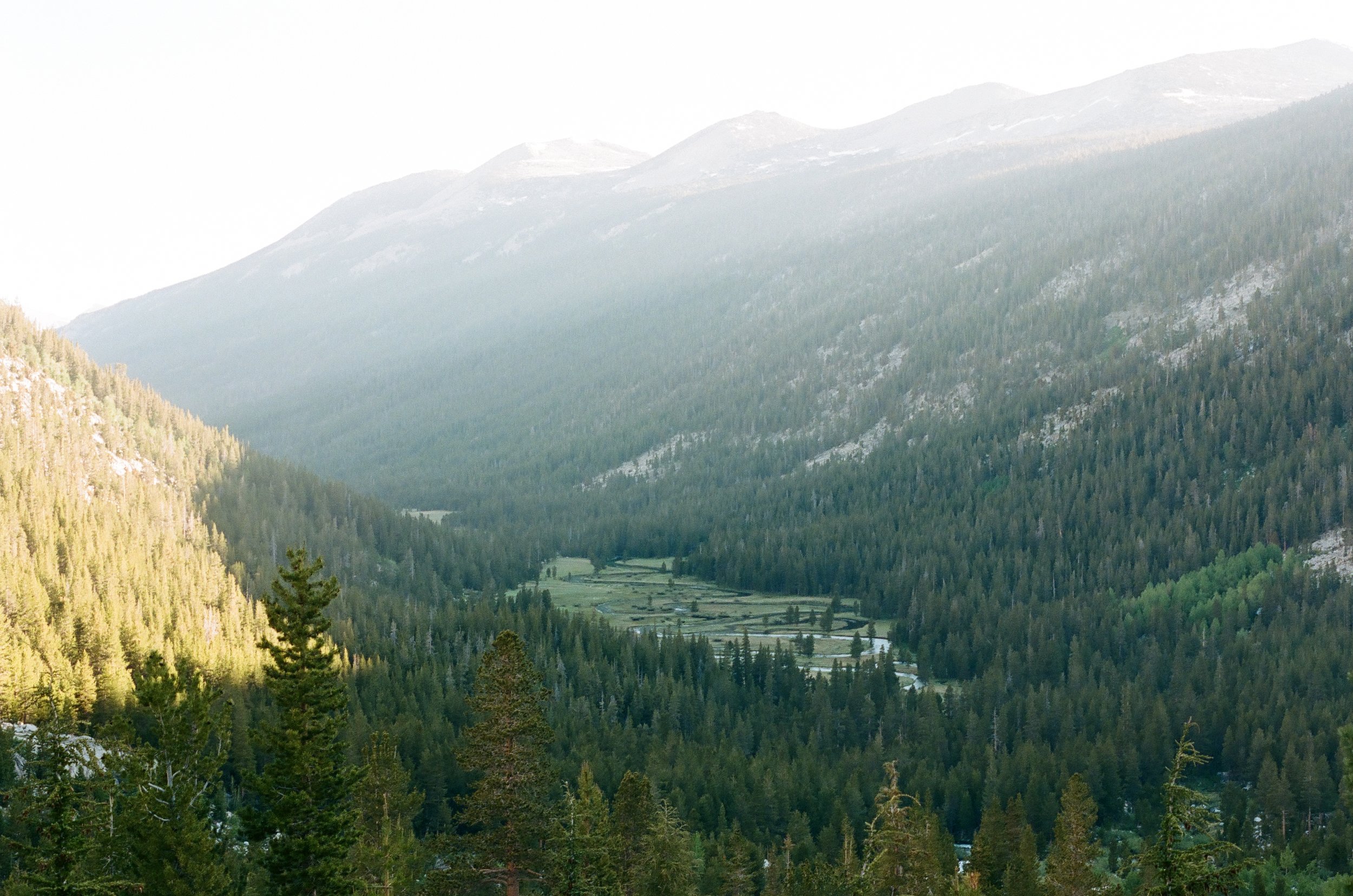 Looking back at Lyell Canyon, 35mm film