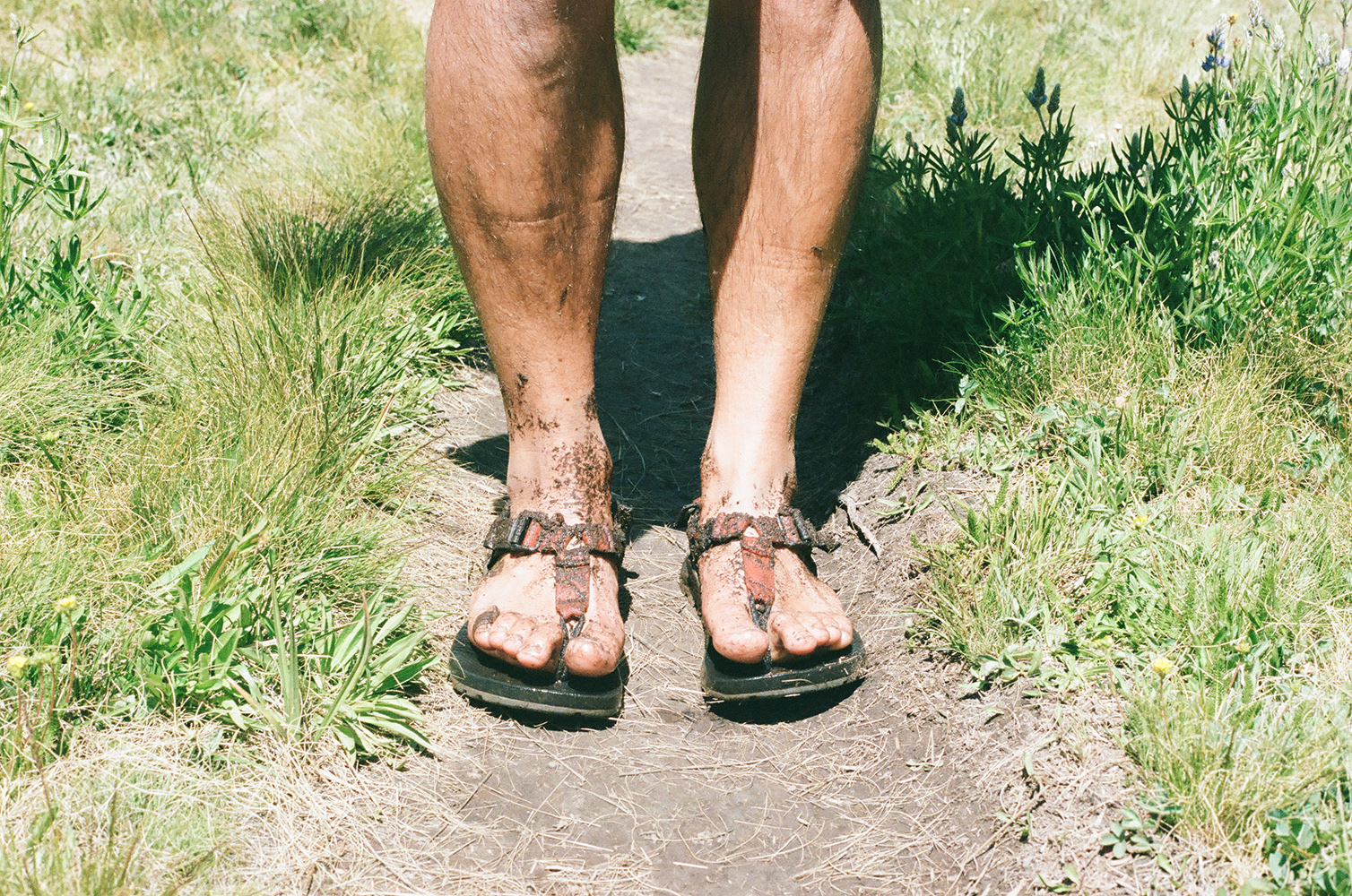 Owen’s feet after hiking through the meadow, 35mm film