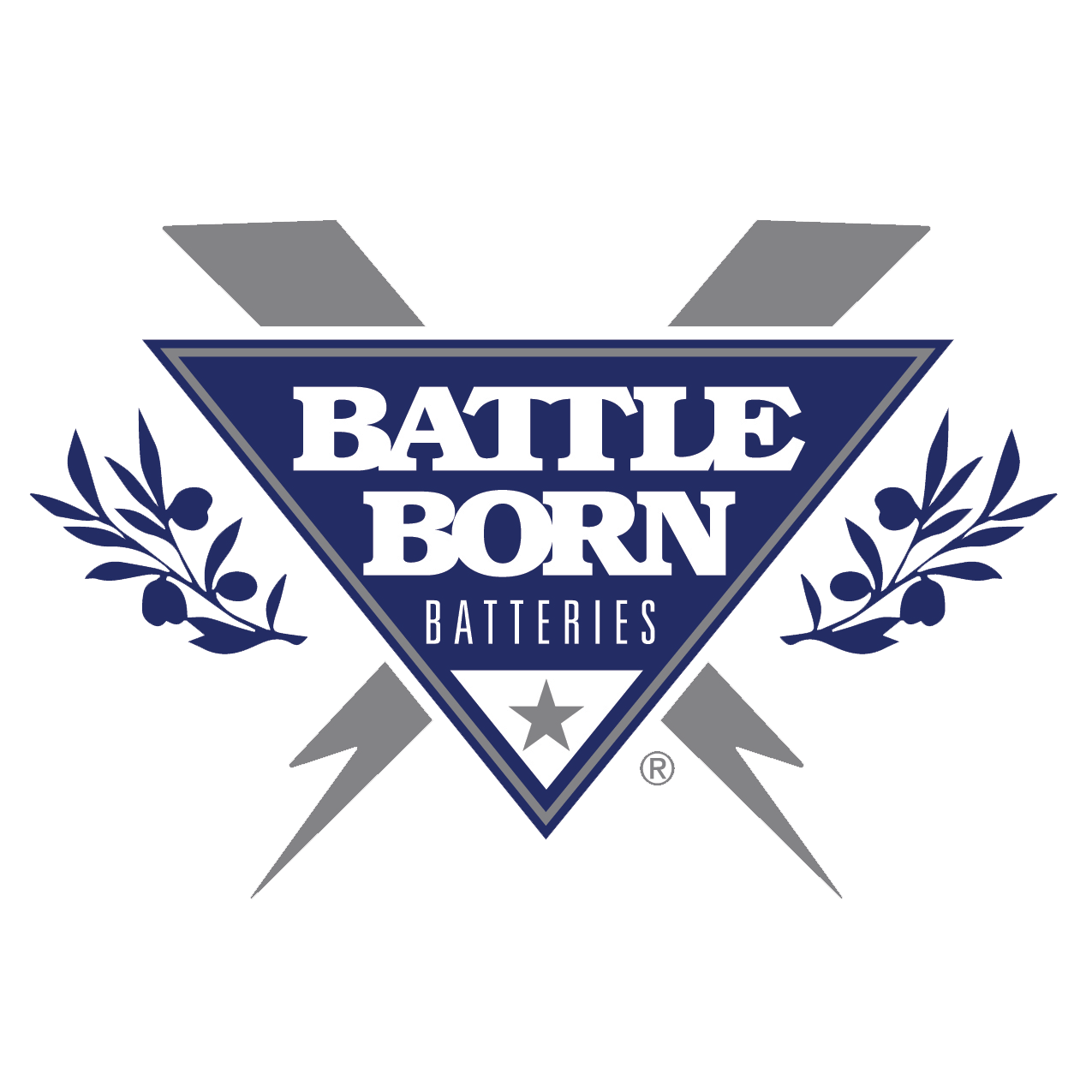Компания battle. Battle born. Battle born Nevada. Battle born Band.