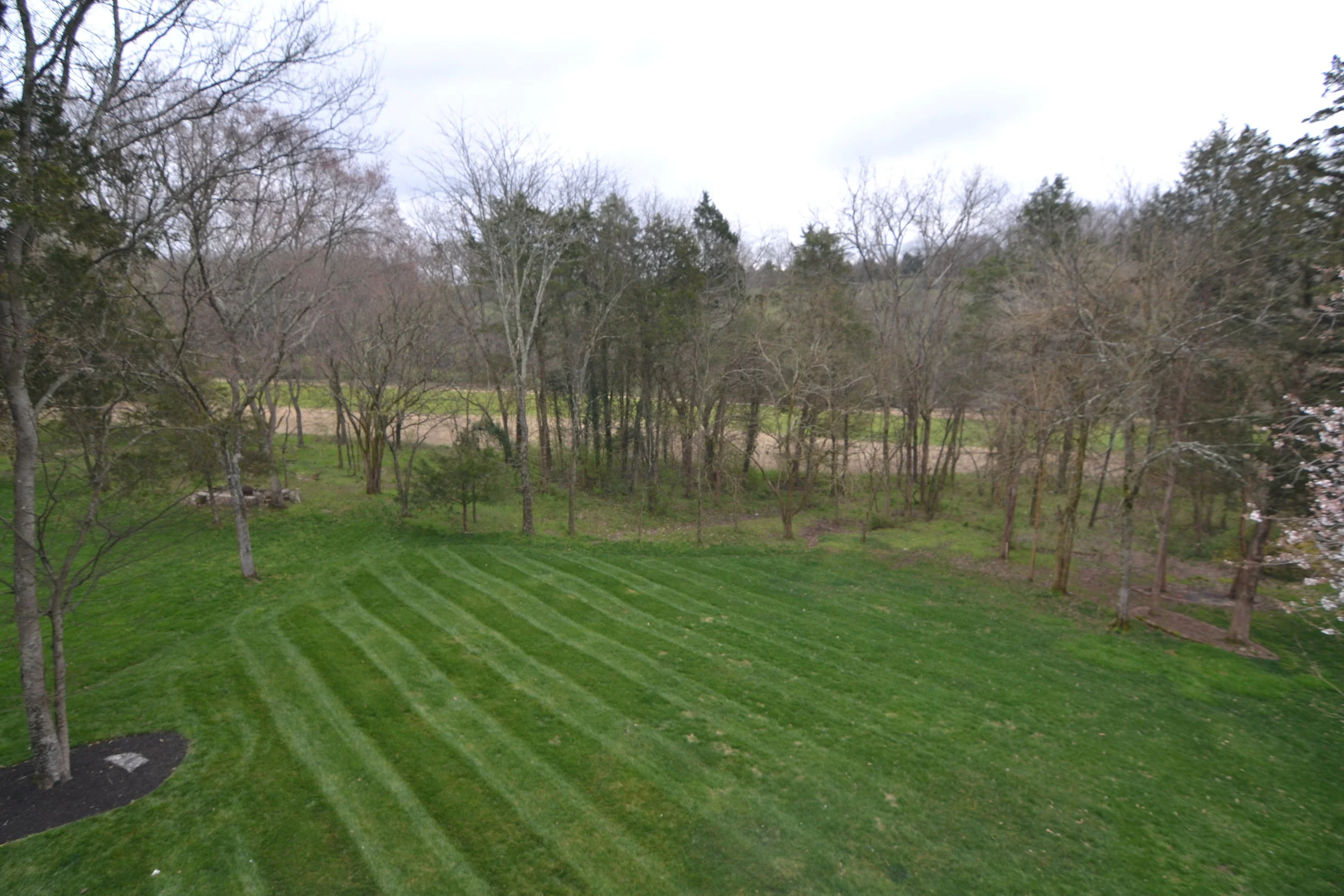 DSC_0417.jpg