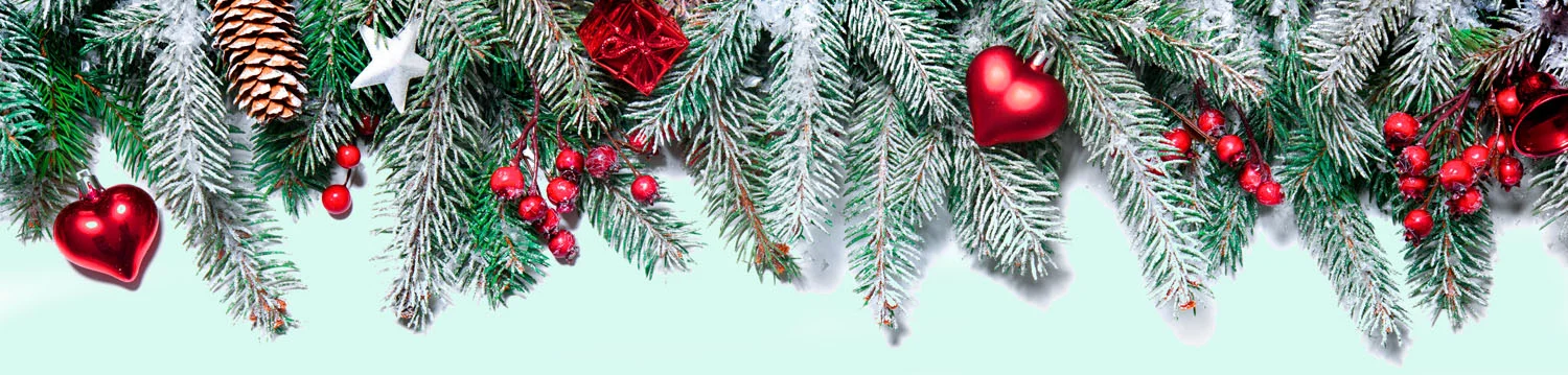xmas banner 1500.jpg