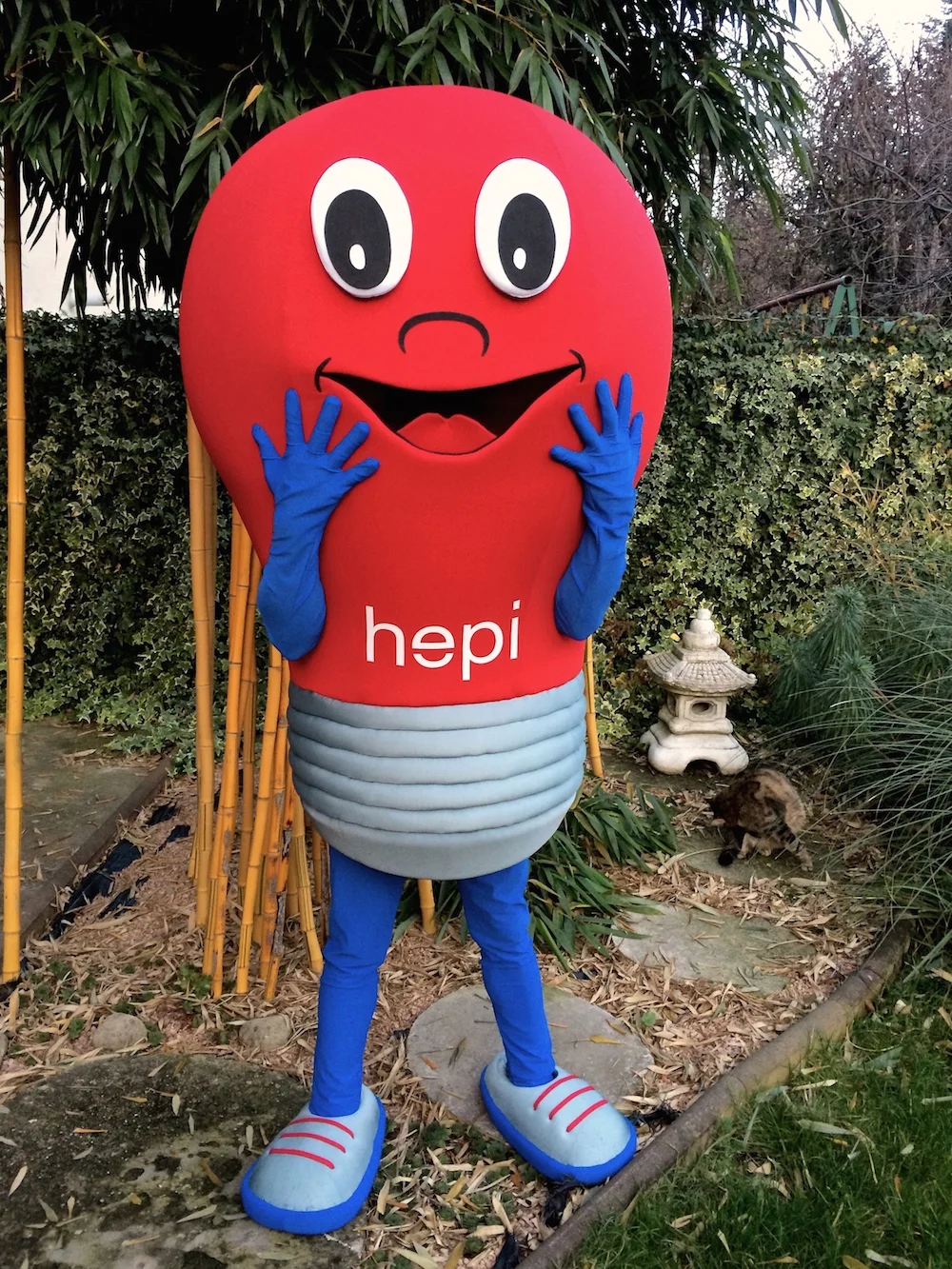 Hepi