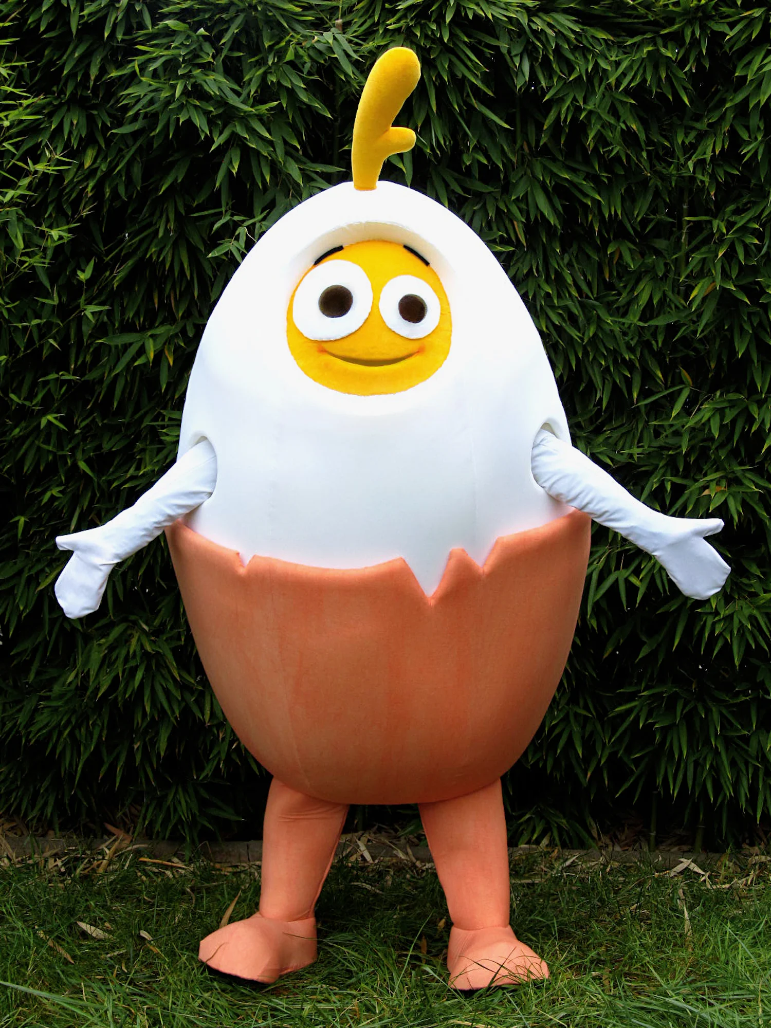 Jajo - Zvijezda Junior