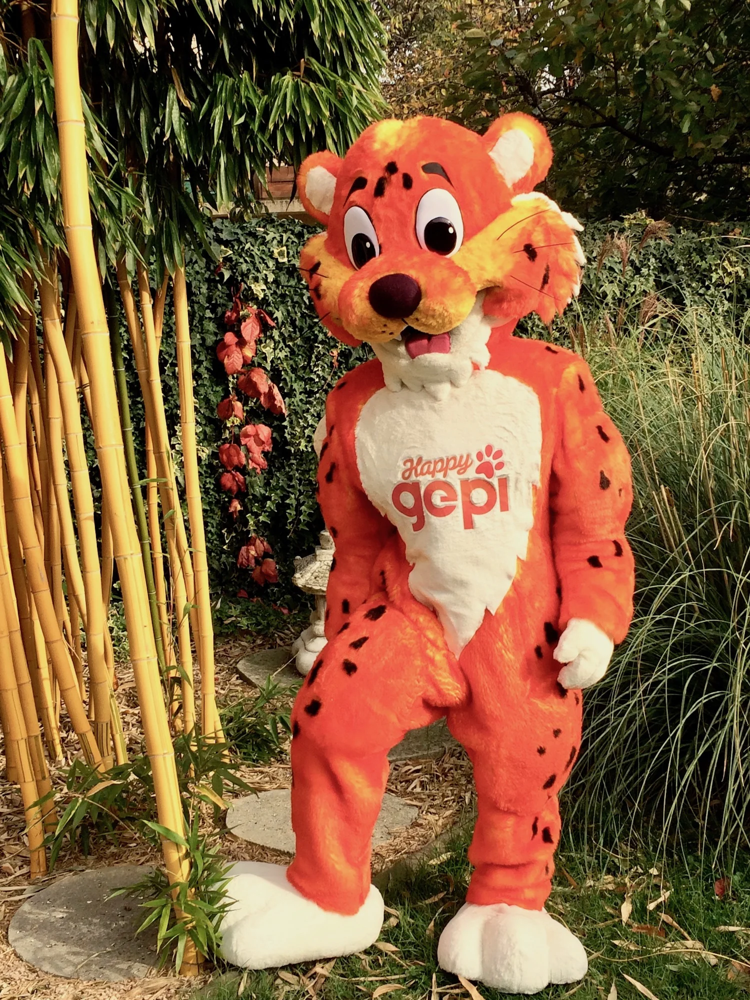 Gepi