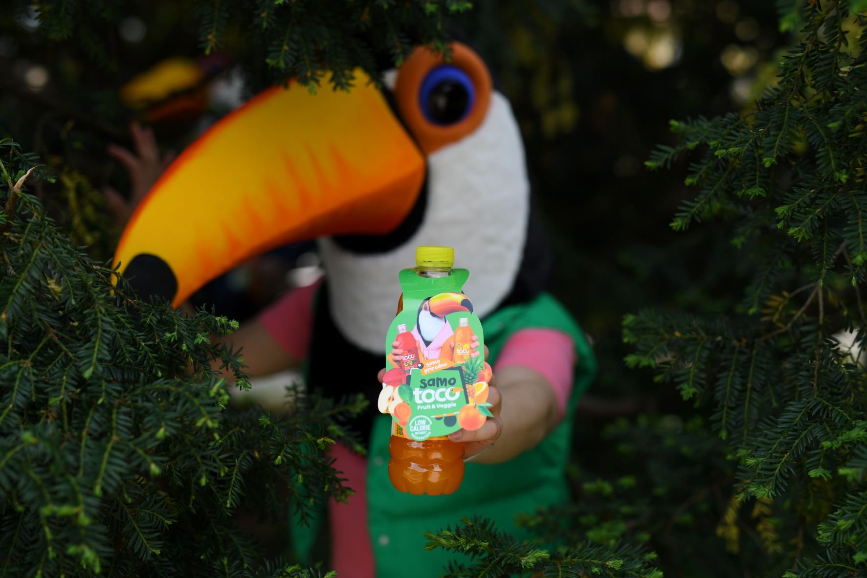 TOCO-5.jpg