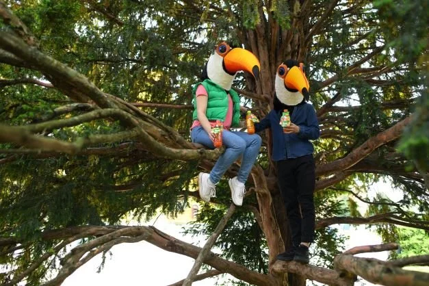 TOCO-2.jpg