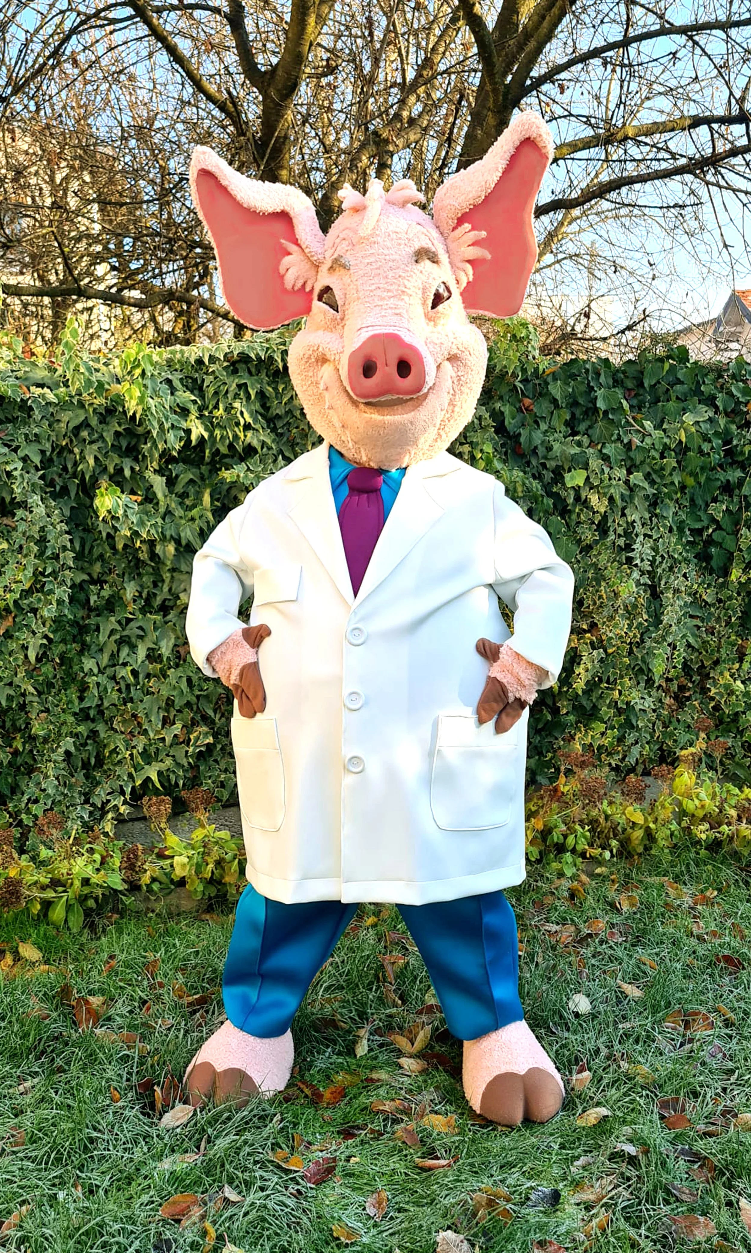 Dr. Pigley