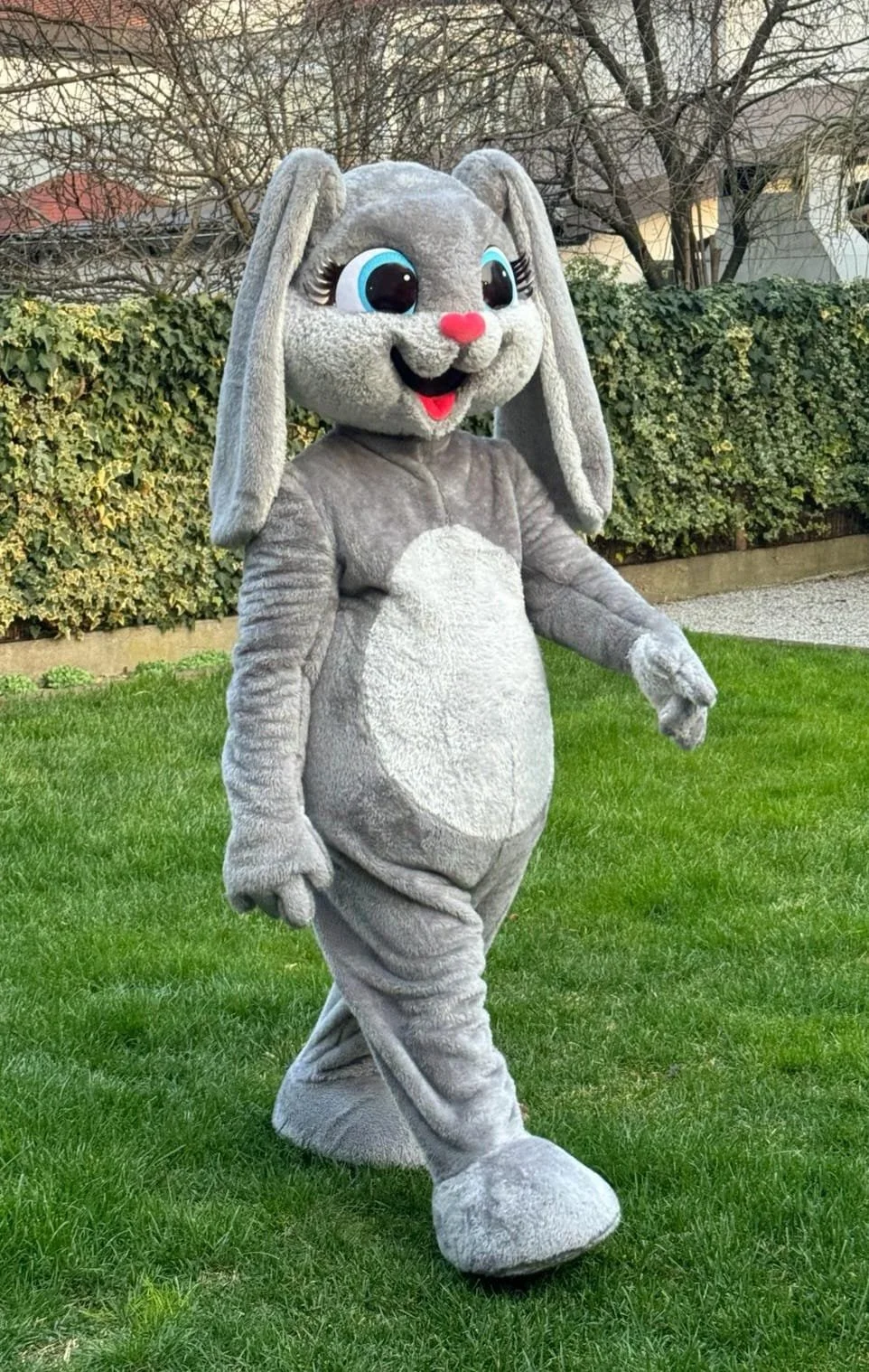 WhatsApp Image 2024-02-29 at 18.04.06.jpeg