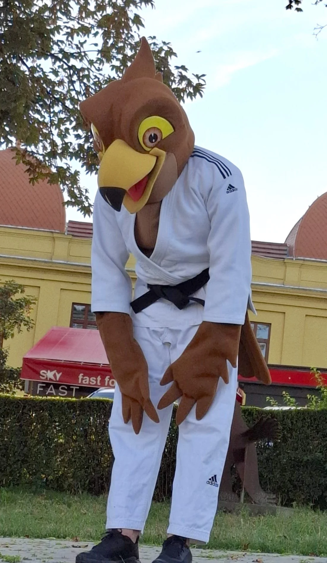 WhatsApp Image 2025-09-05 at 18.21.14.jpeg