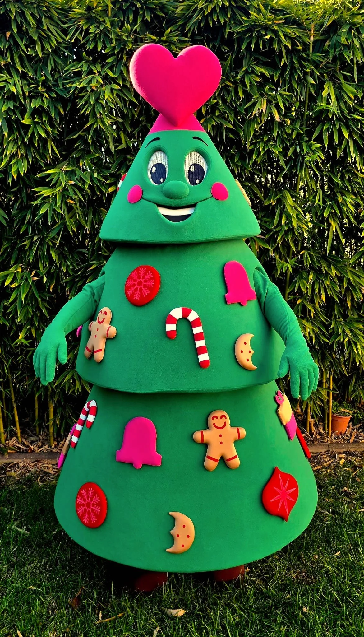 WhatsApp Image 2025-11-28 at 12.49.56 (2).jpeg