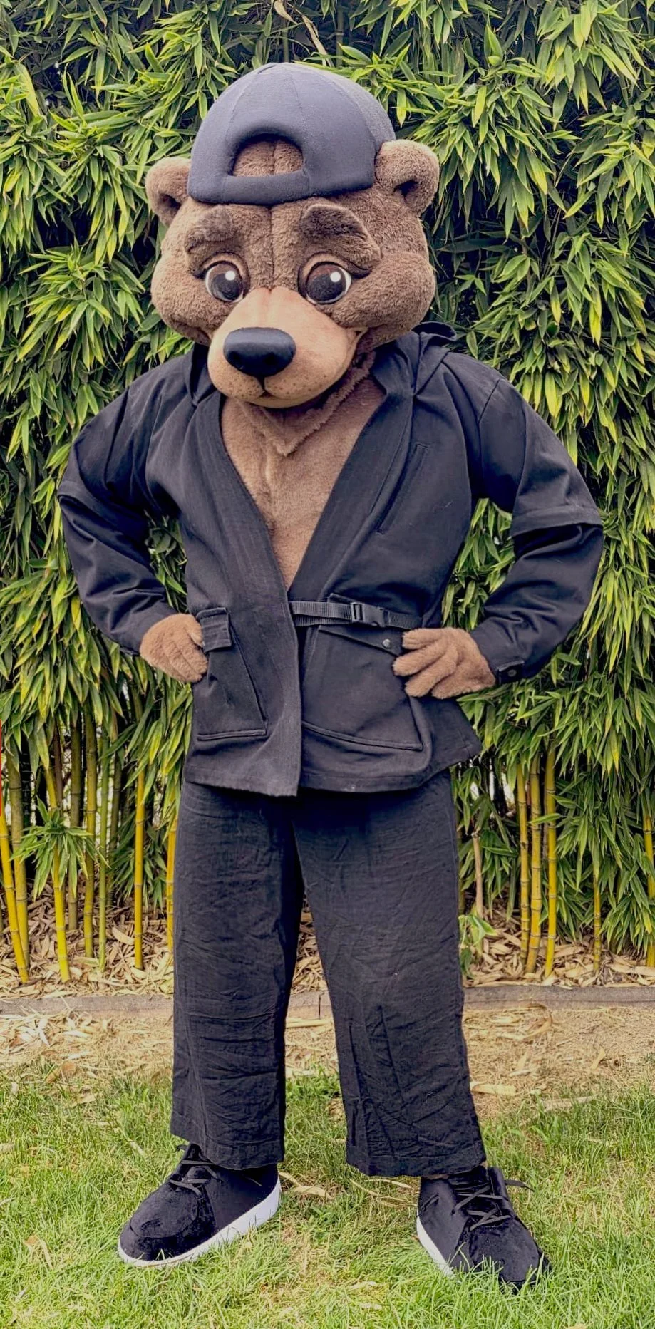 Medvjed