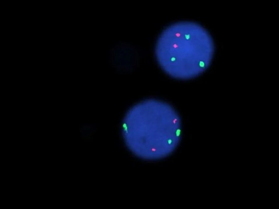 Molecular Icon.jpg