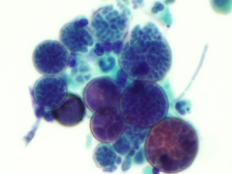 Slide59.jpg