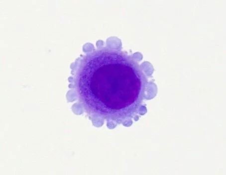 Slide28 - Copy.JPG