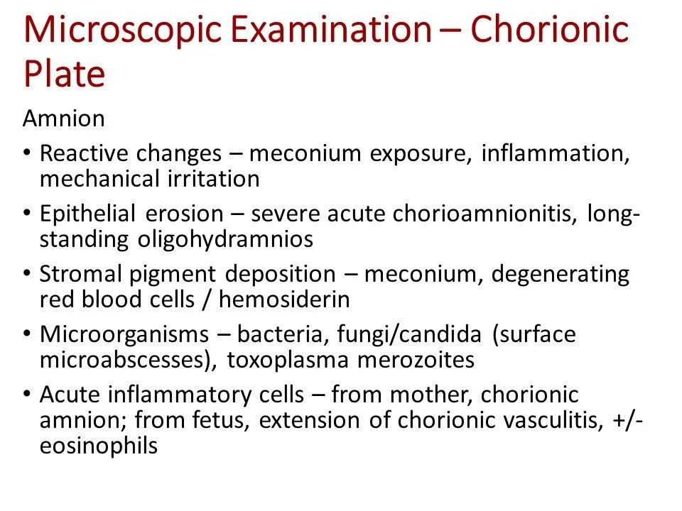 Slide6.JPG