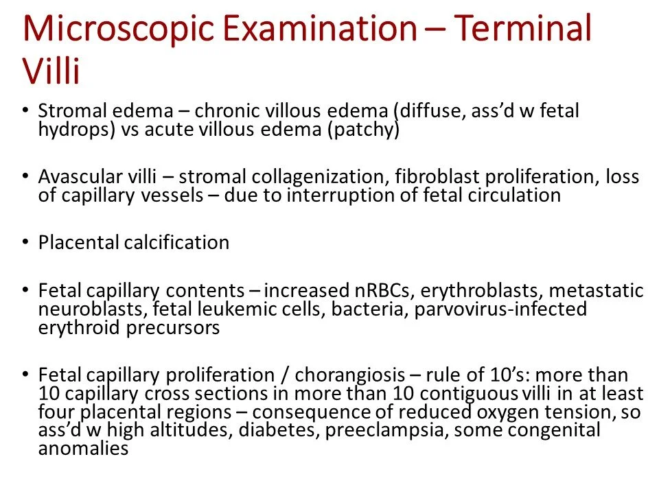 Slide14.JPG