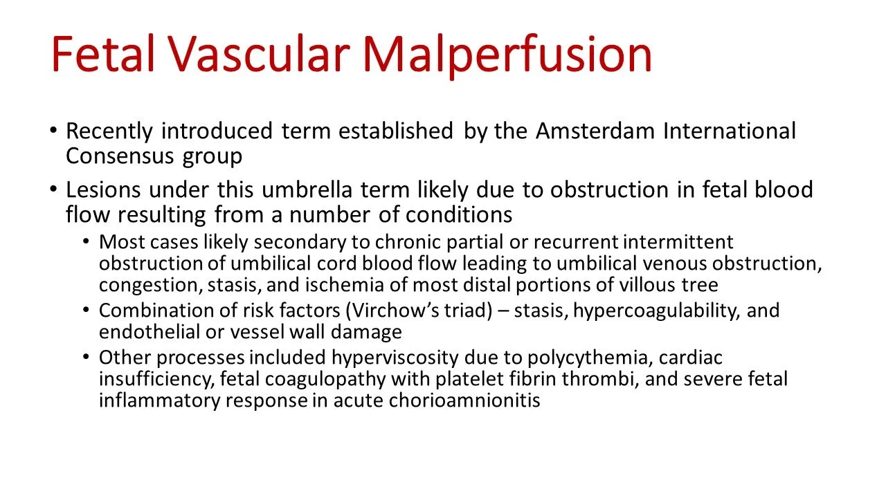 Slide19.JPG