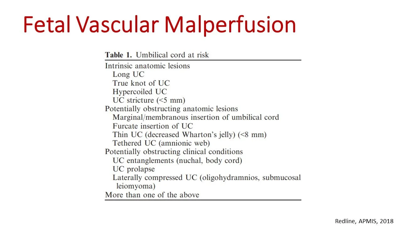  From:  https://pubmed.ncbi.nlm.nih.gov/30129125/   