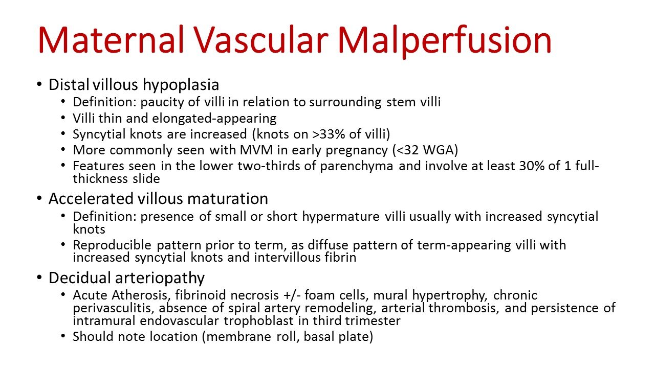 Slide29.JPG